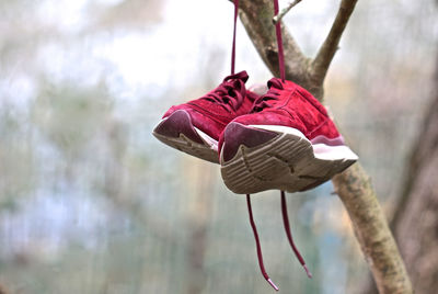 Close-up of person holding umbrella hanging on rope