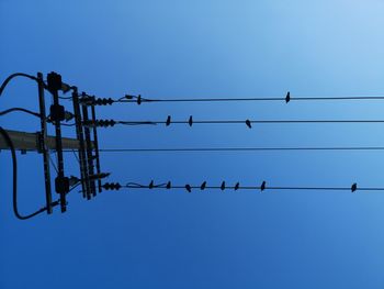 Low angle view of birds on cable against sky