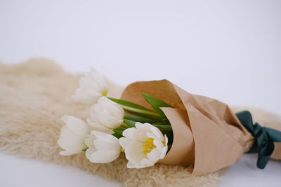 Close-up of flowers on white background