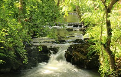 Scenic view of waterfall