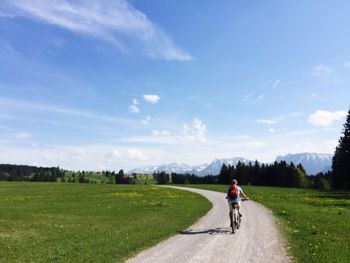 Rear view of man riding bicycle on street