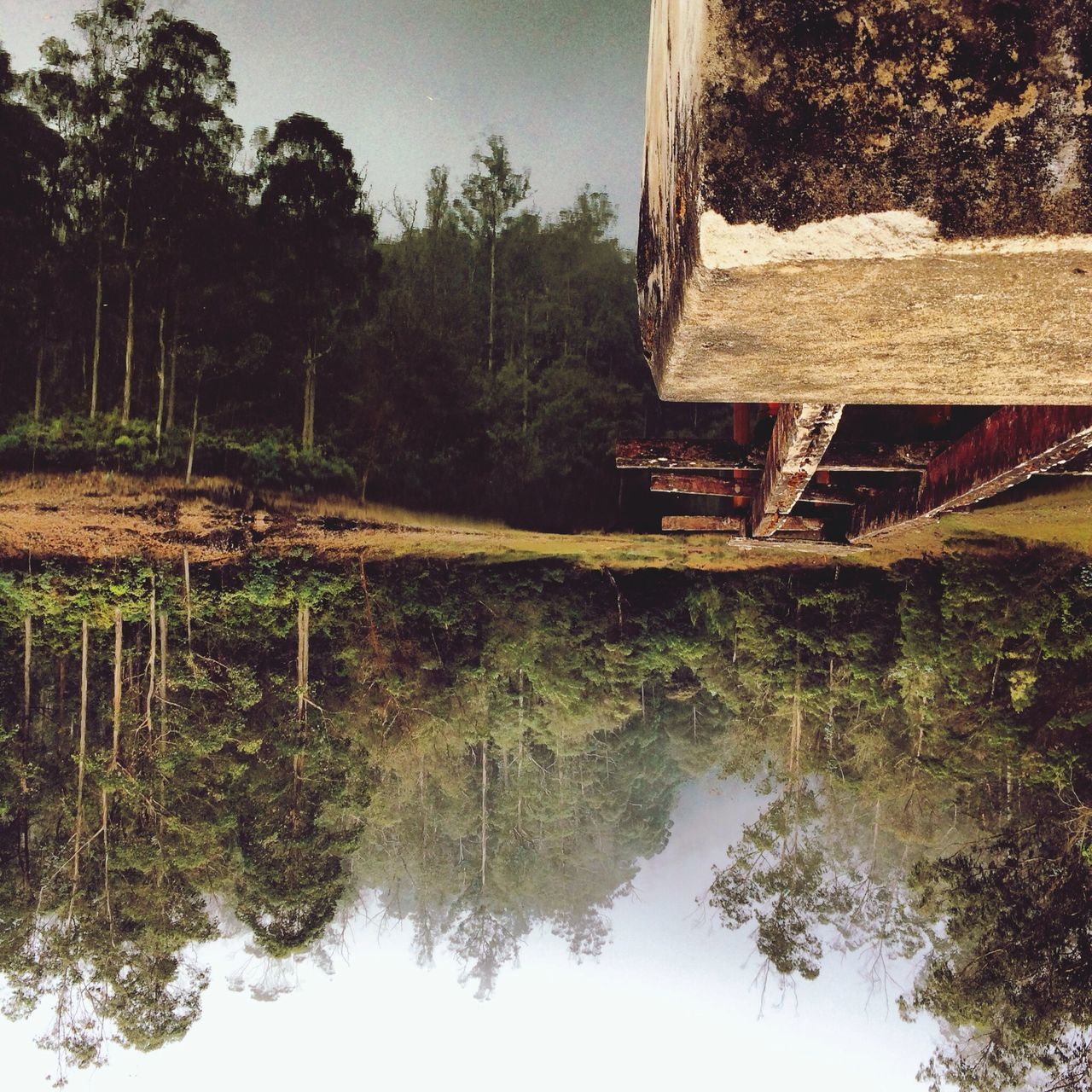 REFLECTION OF TREES IN LAKE AGAINST SKY IN FOREST