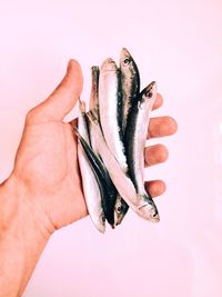 Close-up of hand holding over white background