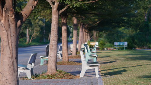 Empty bench in park