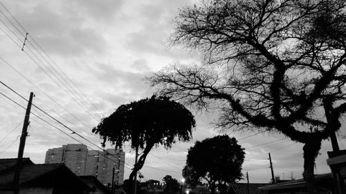 Low angle view of silhouette tree and buildings against sky