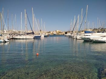 Sailboats moored in sea against clear sky