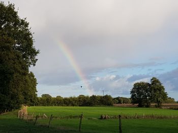 Scenic view of field against rainbow in sky