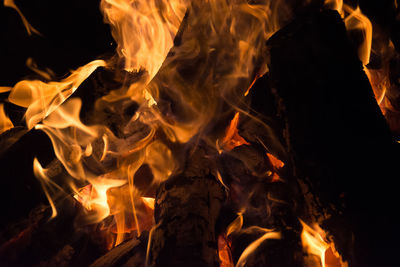 Close-up of bonfire at night