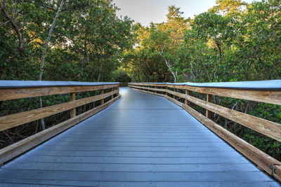 View of footbridge in forest