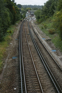 High angle view of railroad tracks amidst trees on field