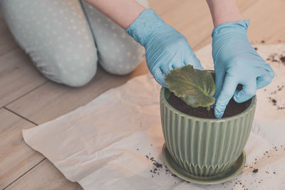 Midsection of woman planting plant in pot