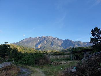 Scenic view of landscape against blue sky