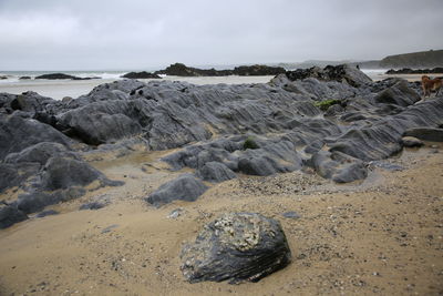 Stoney waves