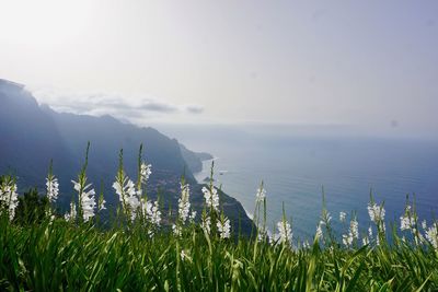Scenic view of sea and mountains against sky
