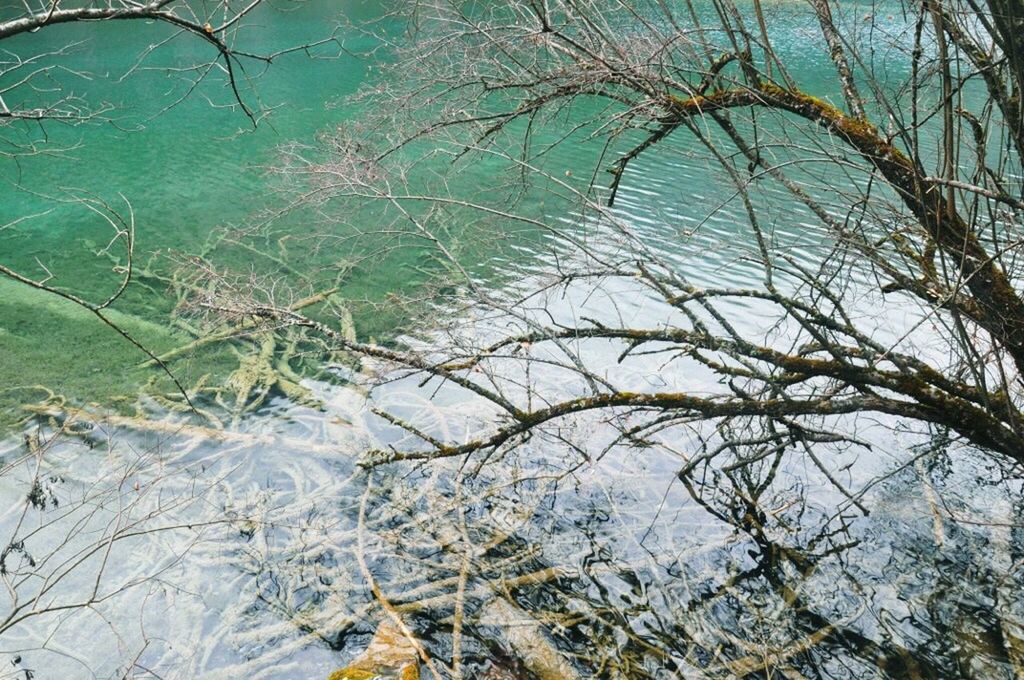 bare tree, branch, tree, tranquility, water, scenics, tranquil scene, nature, beauty in nature, lake, sky, day, river, no people, outdoors, idyllic, non-urban scene, growth, high angle view, reflection