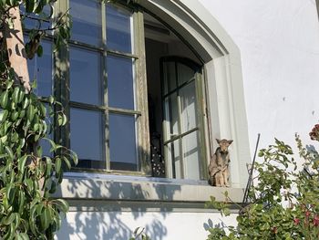 Low angle view of building seen through window