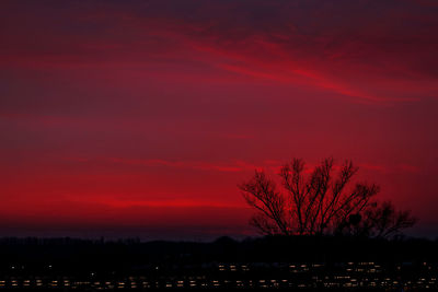 Silhouette bare trees on landscape against sky at sunset