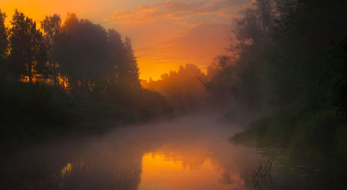 A beautiful spring river landscape with morning fog.