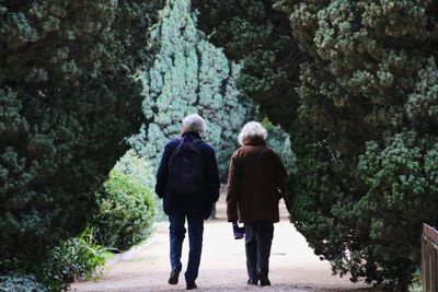 Rear view of women walking along trees