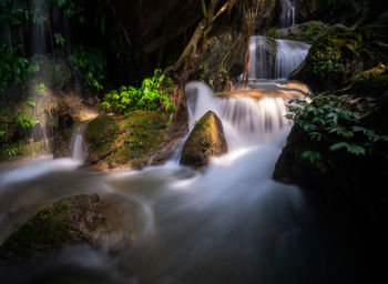 Scenic view of waterfall in forest