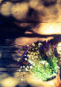 Close-up of flowers against the sky