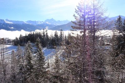 Scenic view of snow covered mountains