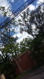 Low angle view of trees against sky