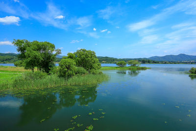 The view of bukhangang river and garden of water ecological park in spring