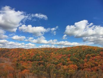 Scenic view of landscape against cloudy sky