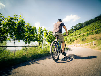 Rear view of man riding bicycle