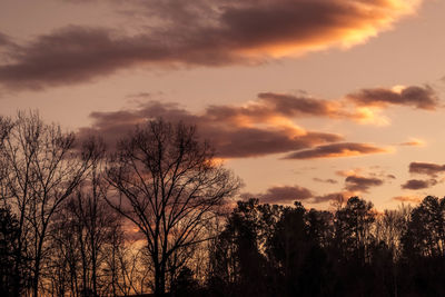 Silhouette trees against sky during sunset