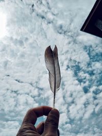 Close-up of hand holding leaf against sky