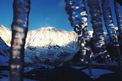 Close-up of icicles against blue sky