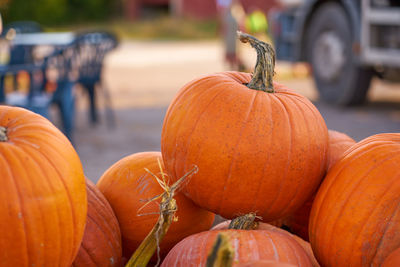 Pumpkins close up on a market for halloween