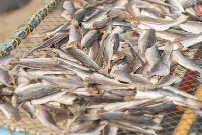 Close-up of fish for sale in market