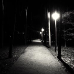 Illuminated street lights at night