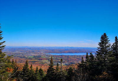 Scenic view of landscape against clear blue sky