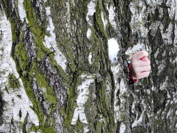 Hand behind tree trunk