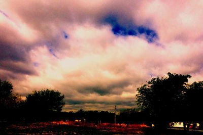 Silhouette of trees against cloudy sky