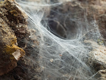 Close-up of spider web on rock