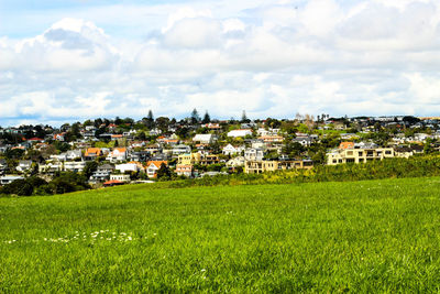 Houses on field against sky