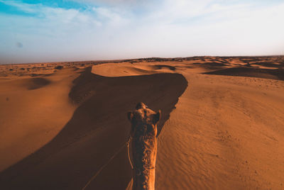 Scenic view of sand dunes at desert against sky