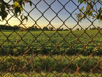 Close-up of chainlink fence against sky
