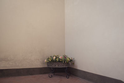 Potted plant against wall