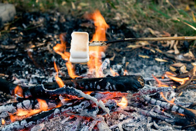 Delicious and sweet marshmallows on stick over the bonfire. roasting toasted marshmallows