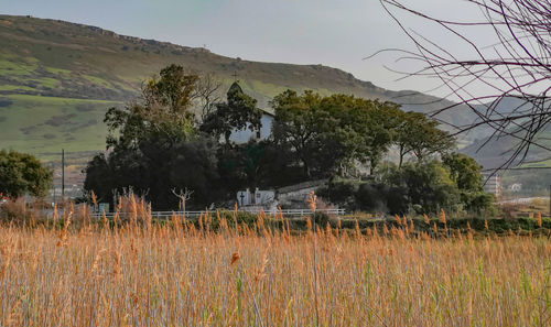 Scenic view of field against sky