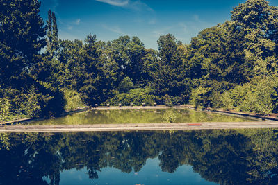 Reflection of trees in water