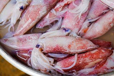 Squid for sale in market. white flesh with red speckles.