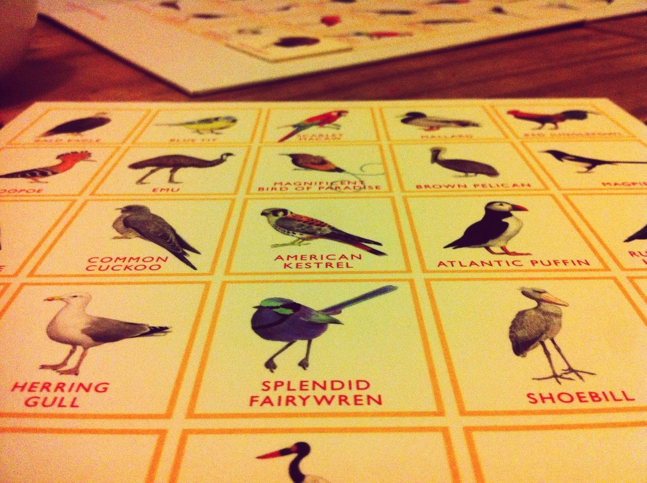 Bird bingo