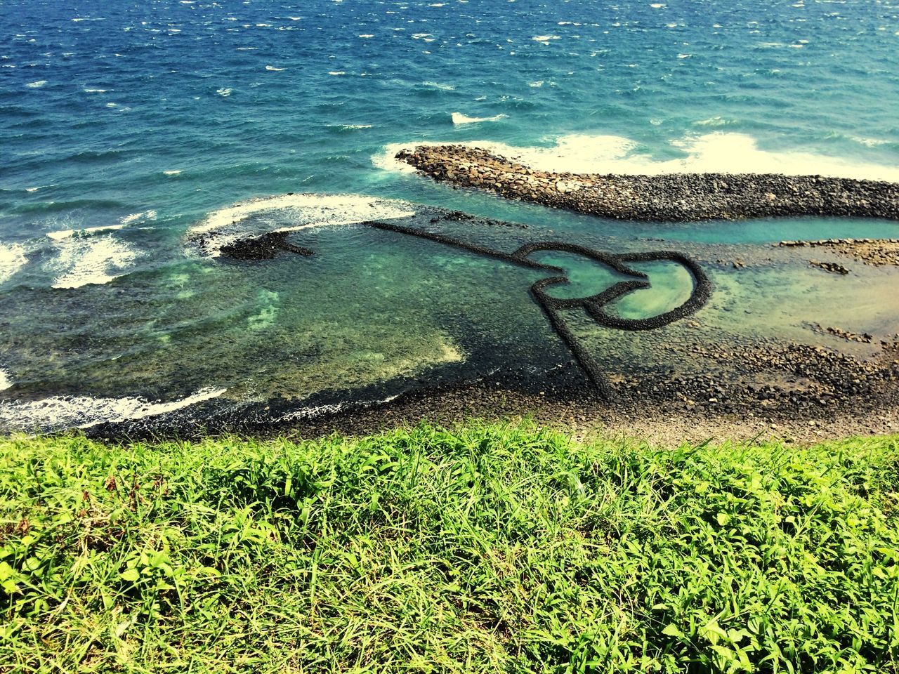 water, sea, beach, high angle view, grass, nature, shore, tranquility, sand, beauty in nature, tranquil scene, day, animals in the wild, animal themes, outdoors, sunlight, wildlife, scenics, relaxation, wave